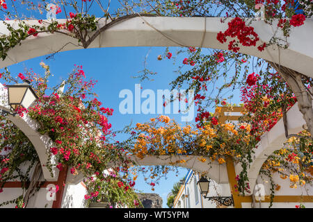 Quaintly piantato case in Puerto de Mogan Foto Stock