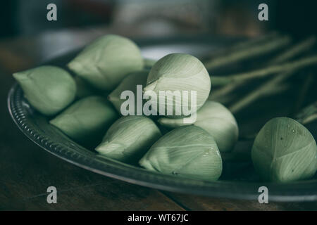 Il verde lotus bud è posizionato su un vassoio d'argento per adorare le cose sacre. Foto Stock