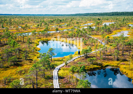 Kemeri National Park Bog trail in Lettonia Foto Stock