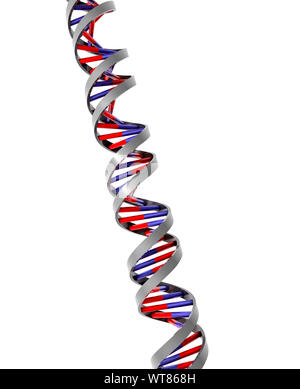 La doppia elica del DNA filamento molecolare modello Foto Stock