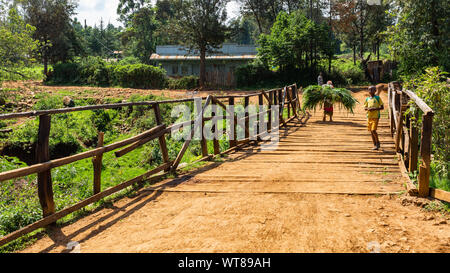 Villaggio Kangaita, Meru county, Kenya - Giugno 15th, 2019: il paesaggio fotografia di donna keniota trasportare erba tagliata sul retro a piedi dalla telecamera. Foto Stock