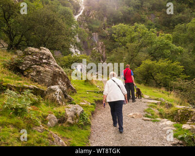 Uomo e donna che cammina spaniel cane per visualizzare Aber cade Afon Rhaeadr Fawr in Coedydd Aber Riserva Naturale Nazionale Abergwyngregn Gwynedd North Wales UK Foto Stock