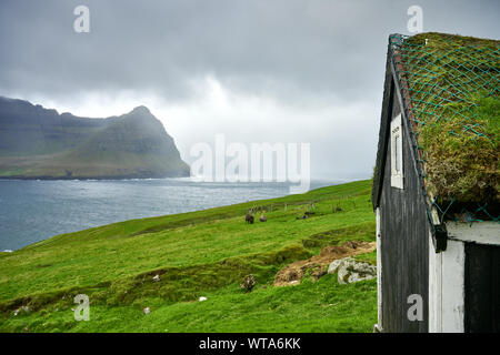 Il pittoresco paesaggio rurale con squallida casa in legno bestiame al pascolo e alta roccia in acqua su isole Faerøer contro sfondo con cielo nuvoloso Foto Stock
