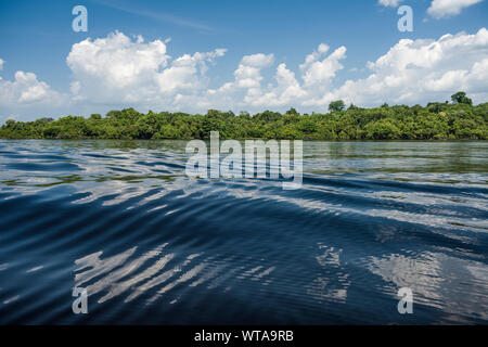 Splendida vista del fiume del Amazon acque Foto Stock