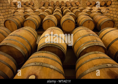 Più righe delle botti di vino in una regione del sud del Brasile cantina Foto Stock