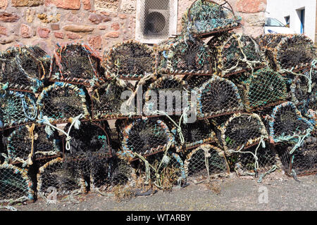 Lobster cantre dal porto nel villaggio di Fife e porto di pesca di Crail Foto Stock