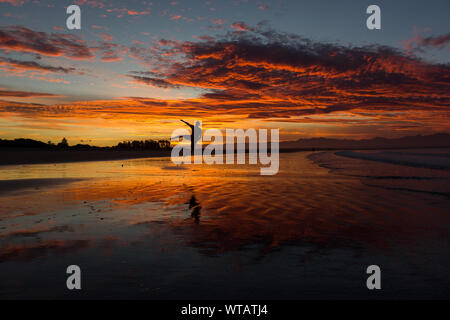 Silhouette di un giovane uomo salto sulla spiaggia di nelson durante il tramonto sulla Spiaggia Tahunanui di Nelson, Nuova Zelanda Foto Stock