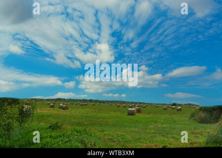 Balle di fieno in campo oro paesaggio, panorama Foto Stock
