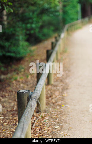 Staccionata in legno su un autunno scena di paesaggio percorso pedonale Foto Stock