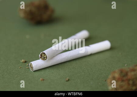 La marijuana Pre-Roll sigarette su sfondo verde Foto Stock