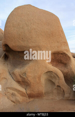 Cranio-deserto a forma di roccia di granito, Joshua Tree National Park, California, Stati Uniti d'America Foto Stock