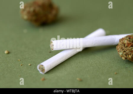 La marijuana Pre-Roll sigarette su sfondo verde Foto Stock