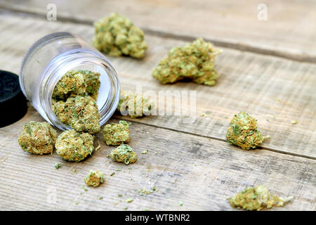 Vaso riempito con la cannabis e circondante la marijuana boccioli di fiori Foto Stock