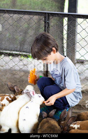 Felice ragazzo giocando con coniglio in fattoria Foto Stock