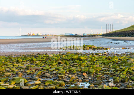 Vista sulla Spiaggia Cambois verso Blyth, Northumberland Foto Stock