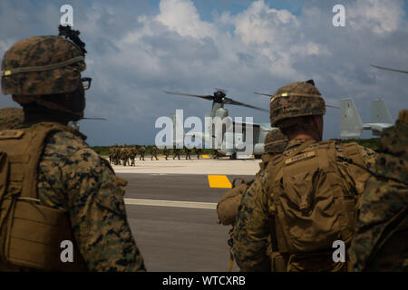 Marines con società di Echo, battaglione atterraggio squadra, 2° Battaglione, 1° Marines, 31 Marine Expeditionary Unit, carico su una MV-22B Osprey tiltrotor aeromobile prima di una lunga serie di raid nella centrale area Formazione, Okinawa, in Giappone, 14 agosto 2019. Il trentunesimo MEU e squadrone anfibio 11, a bordo di Vespa Anfibia pronto gruppo di navi, ha condotto una serie di operazioni sequenziali che simulava expeditionary navale combinata bracci di manovra dal patrimonio anfibio a riva, utilizzando Air-Ground Marine Task Force integrate in tutti i domini di combattimento. (U.S. Marine Corps photo by Lance Cpl. Ke Foto Stock