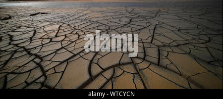 Terreni secchi nel deserto. Rotto la crosta del suolo Foto Stock