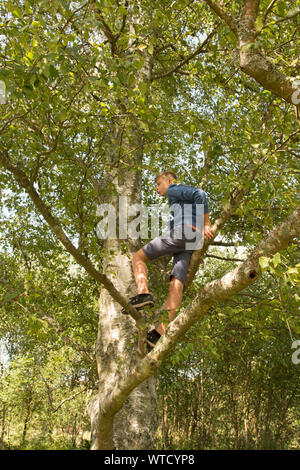 Ragazzo adolescente di arrampicarsi su un albero in alto i suoi rami Foto Stock