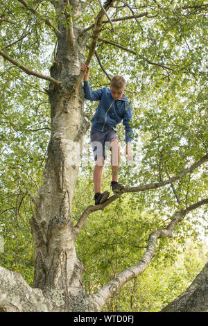 Ragazzo adolescente di arrampicarsi su un albero in alto i suoi rami Foto Stock