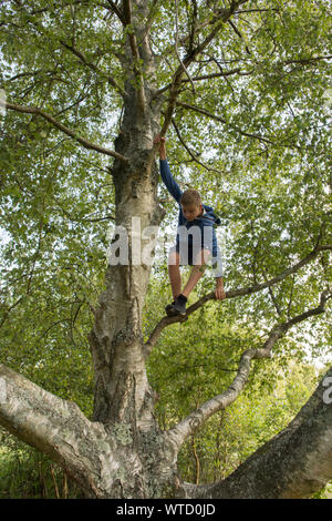 Ragazzo adolescente di arrampicarsi su un albero in alto i suoi rami Foto Stock