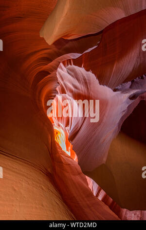 Erosi Navajo di arenaria nella parte inferiore Antelope Canyon, Pagina, Arizona, Stati Uniti d'America Foto Stock