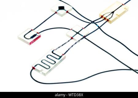 Organo-on-chip (0°C) - dispositivo microfluidico chip che simula gli organi biologico che è il tipo di organo artificiale. Prototipo di design lab-on-chip Foto Stock