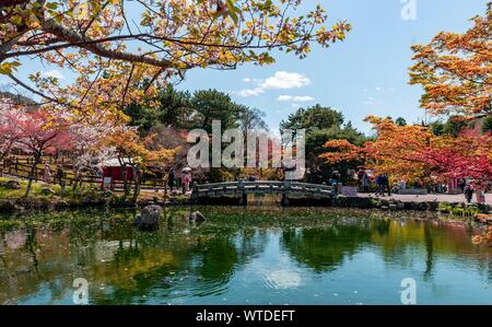 Ponte su un laghetto nel Parco di Maruyama, Kyoto, Giappone Foto Stock