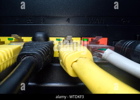 Rete multicolore cavi inseriti nel pannello del router su uno sfondo scuro. Connessione internet, industria di comunicazione Foto Stock