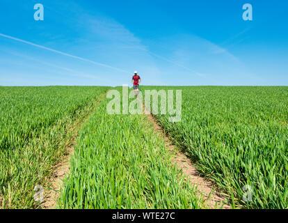 Uomo che corre in pista attraverso il campo di grano. REGNO UNITO Foto Stock