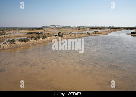 Lagune di sale a Castro Marim Riserva Naturale Algarve Portogallo Foto Stock