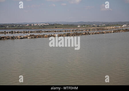 Saline a Castro Marim Riserva Naturale Algarve Portogallo Foto Stock