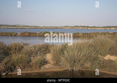 Saline a Castro Marim Riserva Naturale Algarve Portogallo Foto Stock