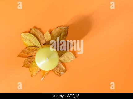 Composizione di autunno con decorativo candela giallo a secco su foglie di autunno con lunga ombra Foto Stock