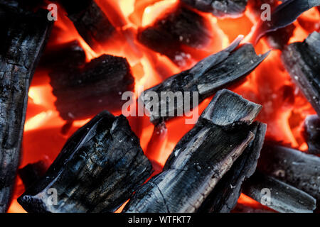 Vista ravvicinata di un tizzone di un fuoco di legno. Foto Stock