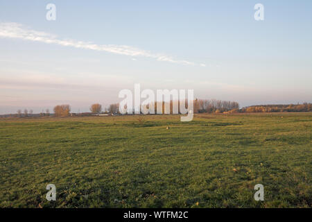 Grassy puszta pianure vicino Tiszacsege Hortobagy Parco nazionale di Ungheria Foto Stock