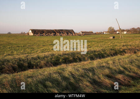 Fattoria di tradizionali edifici sulla grassy puszta pianure del Hortobagy National Park a nord di Hortobagyi-halasto Ungheria Foto Stock