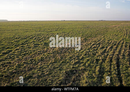 Erbose pianure puszta di Hortobagy National Park a nord di Hortobagyi-halasto dopo forti piogge in Ungheria Foto Stock