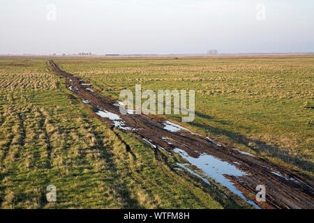 Erbose pianure puszta di Hortobagy National Park a nord di Hortobagyi-halasto dopo forti piogge in Ungheria Foto Stock