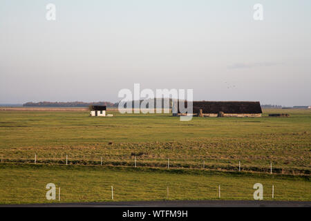 Fattoria di tradizionali edifici sulla grassy puszta pianure del Hortobagy National Park a nord di Hortobagyi-halasto Ungheria Foto Stock