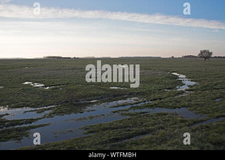 Erbose pianure puszta di Hortobagy National Park a nord di Hortobagyi-halasto dopo forti piogge in Ungheria Foto Stock