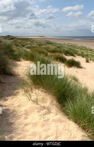 Holkham Bay dune di sabbia / Burham Harbour - Norfolk Coast Path - Norfolk, Regno Unito Foto Stock