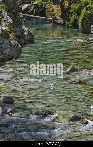 La Elk River scorre tra le scogliere, con acqua in modo chiaro le rocce sul fondo sono visibili, in Oregon Coast gamma Foto Stock