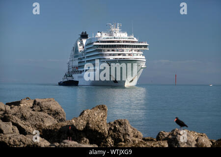 Foto di Tim Cuff - 25 Gennaio 2019 - arrivo della nave da crociera Seabourn Encore nella porta di Nelson, Nuova Zelanda Foto Stock