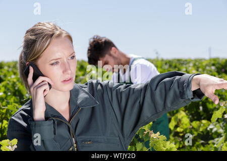 Femmina vignaiolo parlando al telefono cellulare in vigna Foto Stock