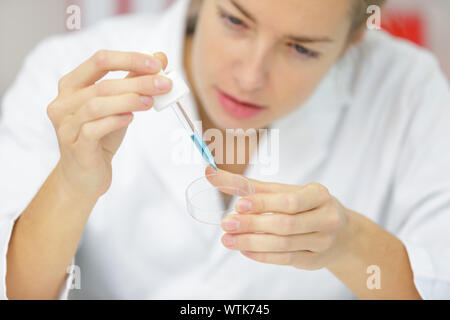 Servendosi di una pipetta per la elaborazione di pcr nel laboratorio microbiologico Foto Stock