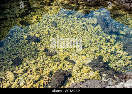 Hawai'i, la grande isola, Sud Kahala, Puako Tidepools Foto Stock