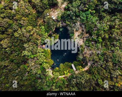 Piccolo Cenote lago di cristallo con acqua pulita nel mezzo della foresta verde Foto Stock