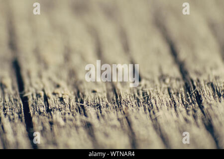 Il legno vicino, piccola dof Foto Stock