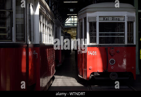 Vienna, Austria. Undicesimo Sep, 2019. I tram sono visualizzate in Remise-Transport Museo di linee di Vienna a Vienna il 7 settembre 11, 2019. Creato nel 2014, il Museo Remise-Transport di linee di Vienna mostra storica e moderna i tram e gli altri veicoli e offre ai visitatori un viaggio attraverso 150 anni di trasporto pubblico nella storia con linee di Vienna. Credito: Guo Chen/Xinhua/Alamy Live News Foto Stock