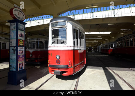 Vienna, Austria. Undicesimo Sep, 2019. I tram sono visualizzate in Remise-Transport Museo di linee di Vienna a Vienna il 7 settembre 11, 2019. Creato nel 2014, il Museo Remise-Transport di linee di Vienna mostra storica e moderna i tram e gli altri veicoli e offre ai visitatori un viaggio attraverso 150 anni di trasporto pubblico nella storia con linee di Vienna. Credito: Guo Chen/Xinhua/Alamy Live News Foto Stock